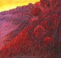 2005                     Sunset_ 195x195